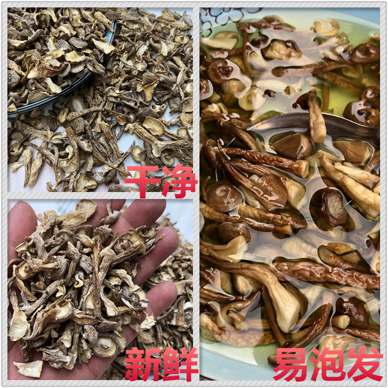 鹿茸菇干货鹿茸菌500g包邮鹿茸菇碎片脆脆菇菌古田无硫煲汤土特产 - 图1