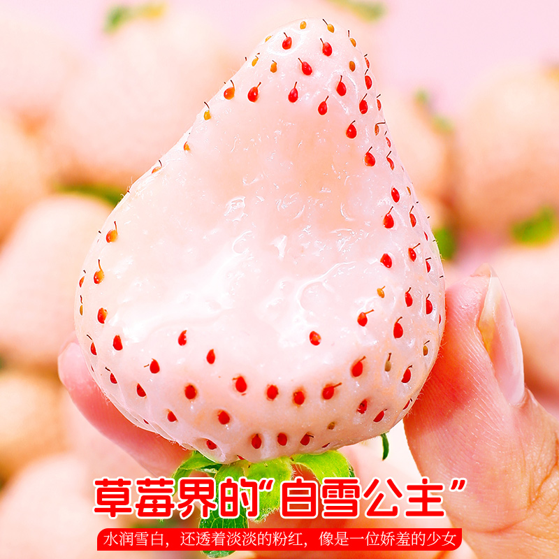 淡雪白色草莓礼盒白雪公主奶油新鲜高档水果红颜草莓送女朋友礼物