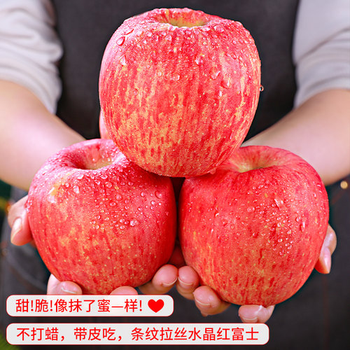 正宗山东烟台红富士苹果新鲜水果圣诞平安果冰糖心栖霞丑平果包邮 - 图1