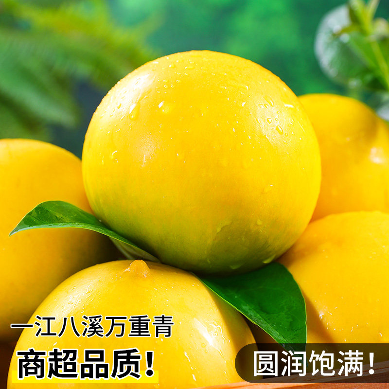 黄晶果新鲜正宗冬蜜鲜果四季黄宝石大果高山特产高端牛奶果黄晶果