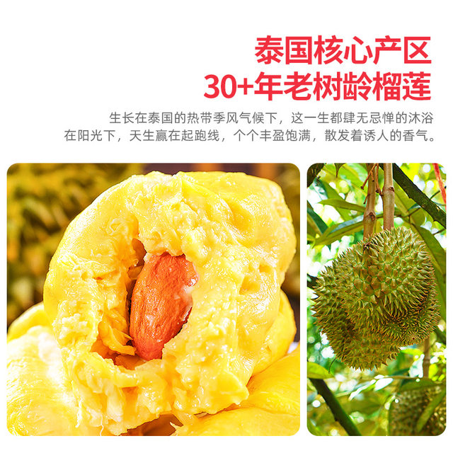 Thai Golden Pillow Durian SF optional soft, glutinous and sweet