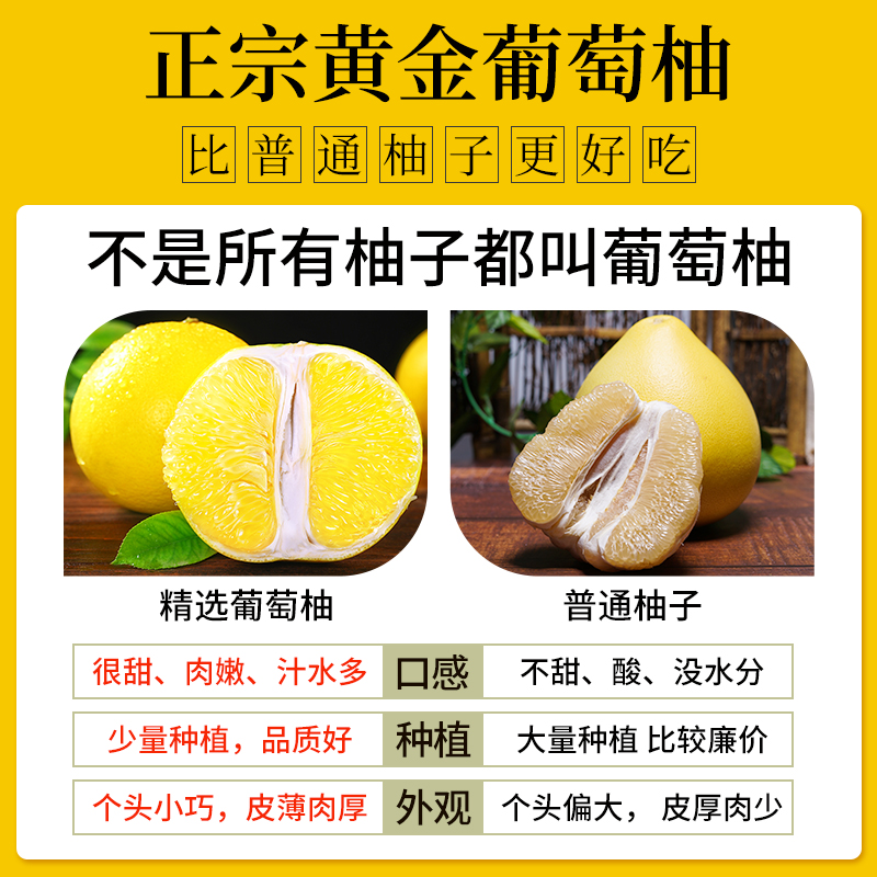 爆汁柚子福建黄金葡萄柚新鲜水果当季黄心蜜柚文甜西柚整箱旦包邮