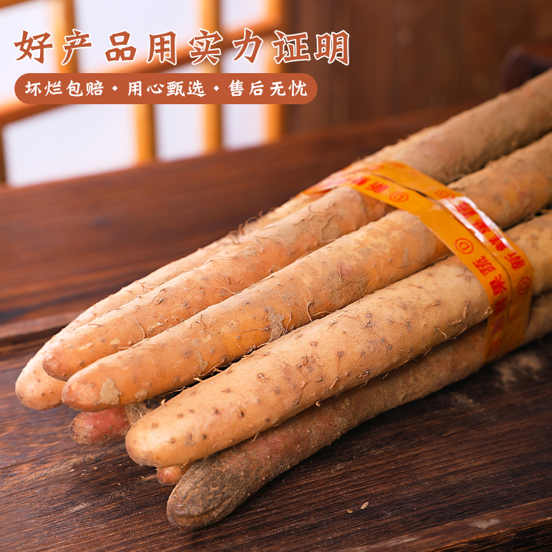 Wenxian loin soil iron bar yam