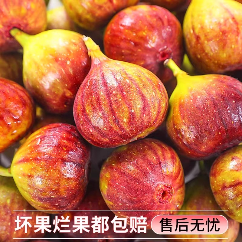 图 5