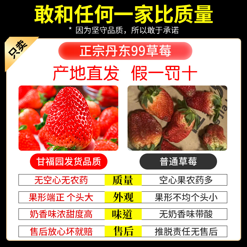 丹东99草莓新鲜水果红颜牛奶奶油九九大草莓礼盒空运非淡雪白草莓