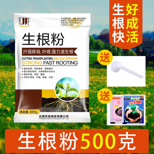 速效生根粉通用大树移栽爆炸发根快速水培植物扦插育苗通用生根液 - 图0