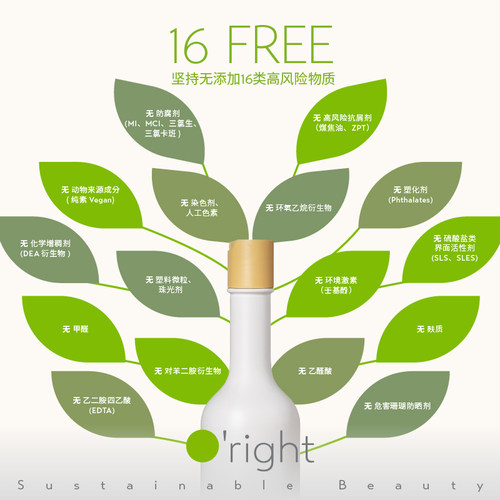 O'right/欧莱德茶树洗发精去屑控油清洁 - 图0