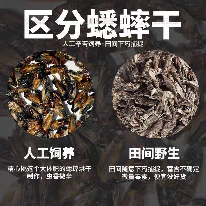 高蛋白宠物零食蟋蟀干爬宠蜥蜴守宫鸟龟通用天然无添加养殖场直发,淘宝优惠券,粉丝福利购,淘宝优惠卷