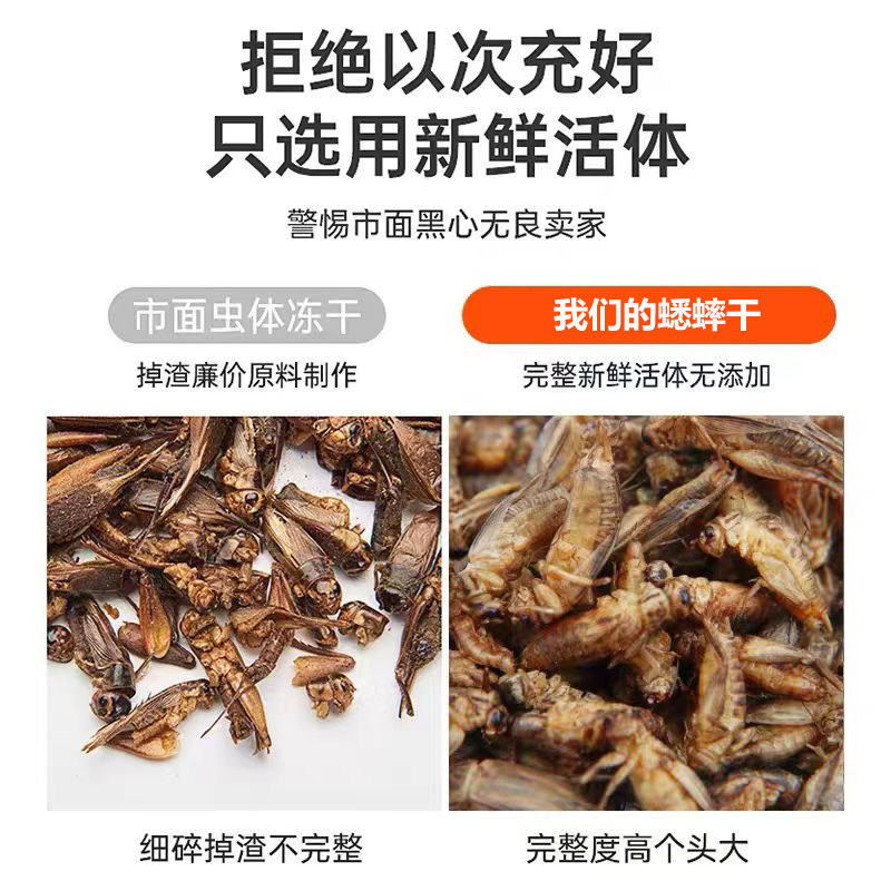 高蛋白宠物零食蟋蟀干爬宠蜥蜴守宫鸟龟通用天然无添加养殖场直发,淘宝优惠券,粉丝福利购,淘宝优惠卷