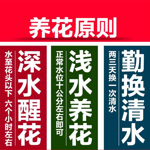 鲜花云南基地直发玫瑰花香水百合花家用插花花卉康乃馨向日葵鲜切 - 图1