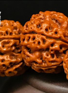 金诗文玩梅花双龙纹大