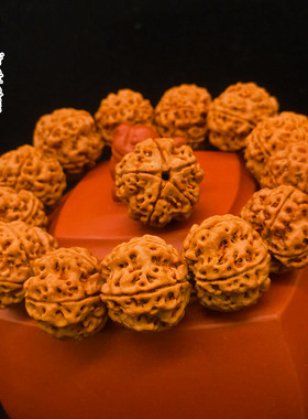 金诗文玩毕业级蜂窝大金刚菩提子