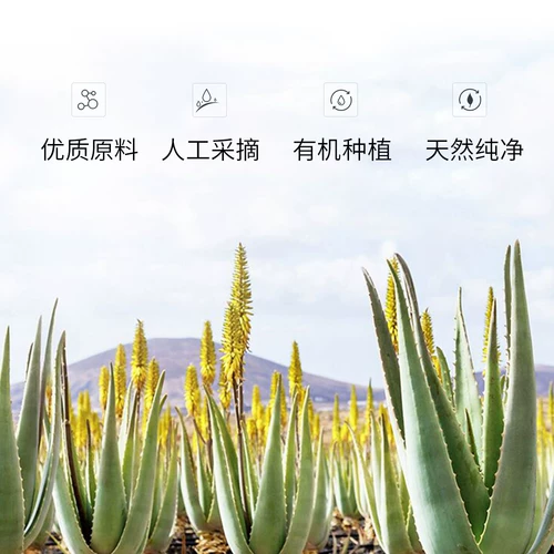 瓷妆 Увлажняющий гидролат с розой в составе, гель алоэ вера от черных точек, влажный лосьон, спрей, сужает поры