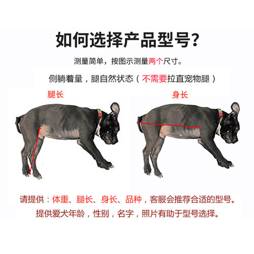 美国狗轮椅宠物车后肢狗狗支架截肢断腿辅助便携折叠助力代步推车 - 图0