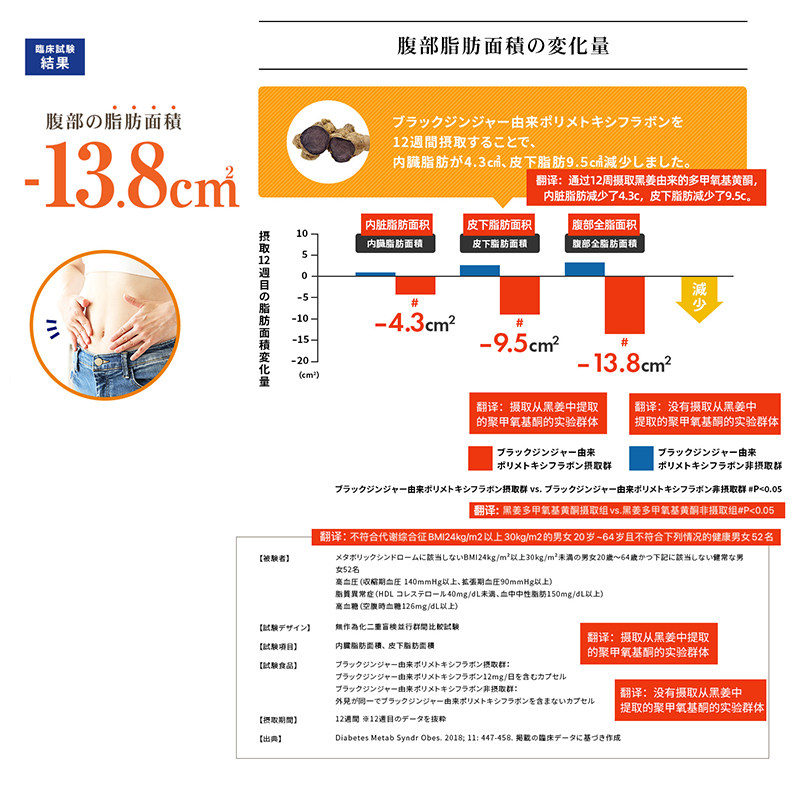 mdc小腰精孝30粒左旋肉碱酵素 MDC海外海外保健体重管理