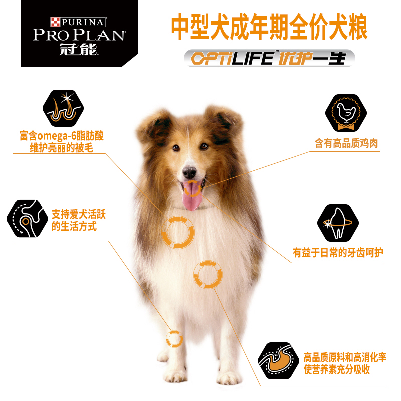 冠能狗粮中型成犬粮边牧柯基12kg叠精致生活券200-15