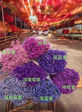 云南永生满天星厂家直销真花干花花束手工材料包客厅家居装饰diy