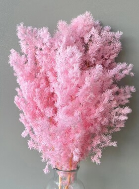 永生干花diy橱窗蓬莱松