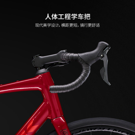 TREK崔克DOMANE AL 2碳纤维前叉碟刹内走线长途耐力公路自行车