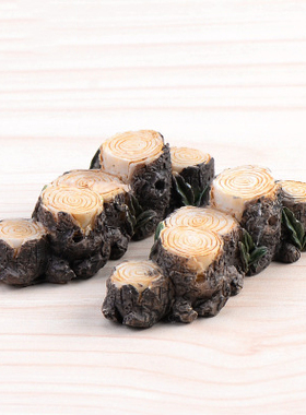 苔藓微景观植物盆栽树脂工艺品