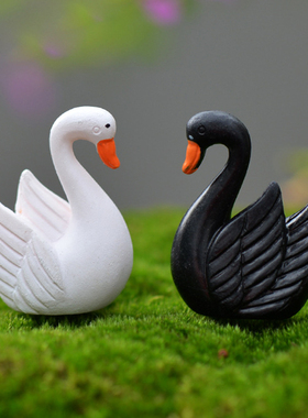 微景观盆栽黑白多肉卡通动物