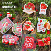 Strawberry label Strawberry Adhesive Label Sticker Dandong Red Color Strawberry Labeling Trademark Fruit Label