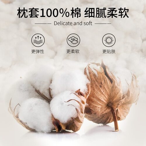 顶走富贵包，改善前倾，辅助安睡 给颈椎设计的枕头  12味本草 - 图2