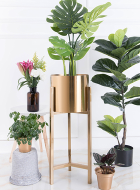 北欧轻奢风金色客厅电视柜花架