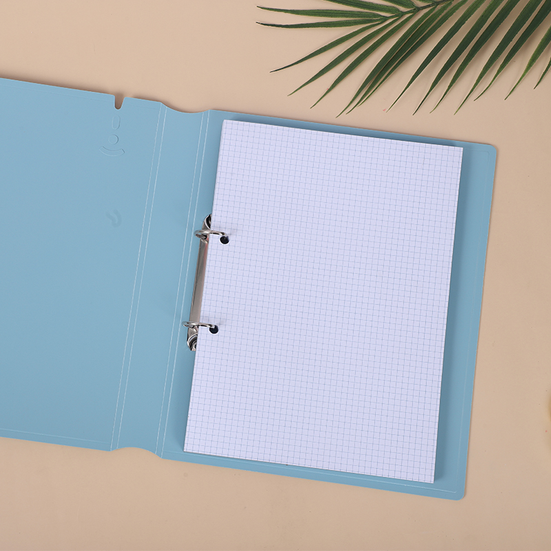 活页替芯2孔3孔4孔文件夹加厚PP活页6张10张23张分类页11孔袋套装 - 图2