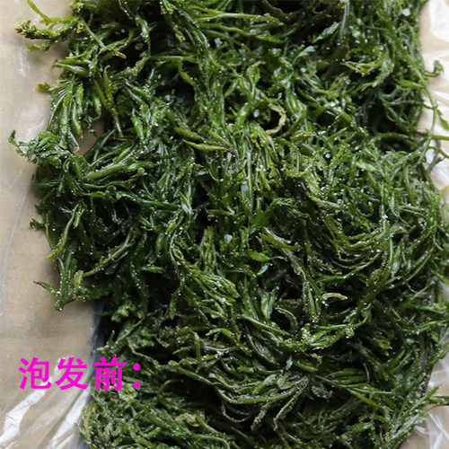 山东威海荣成盐渍马尾藻海藻海草鞭炮笋裙带菜海白菜凉拌火锅食材 - 图1