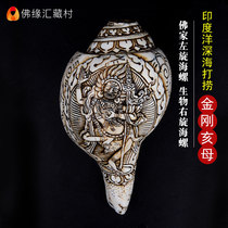 Upscale Wolverine Mother Nepal Natural Flowers Buddha Home Levoo Bio Right-handed For Tools White Sea Snail