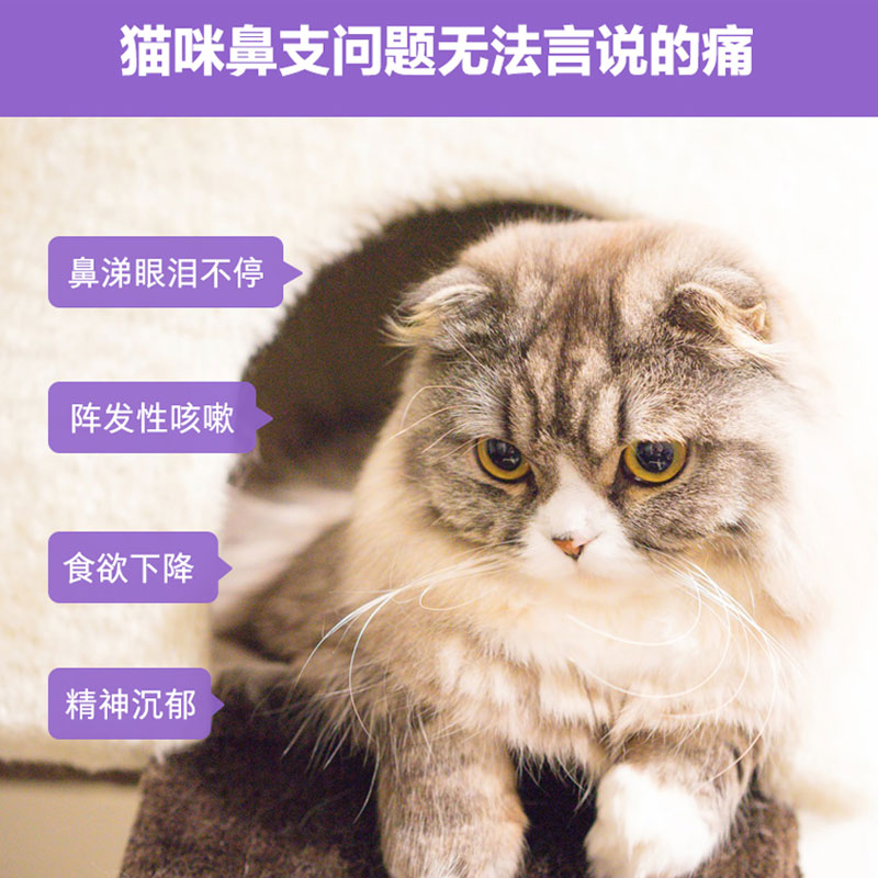 卫仕猫胺猫鼻支赖氨酸猫氨多维生素猫微量力肠牛磺酸猫咪调理保健 - 图0