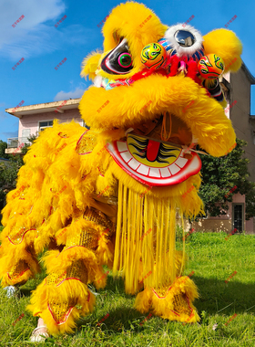 5号泡沫狮醒狮少年舞狮头