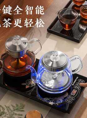 志高蒸汽煮茶器喷淋式家用全自动办公室小型养生玻璃电茶炉泡茶壶