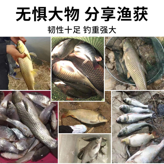 Complete list of fishing rod sets and sea rod brands