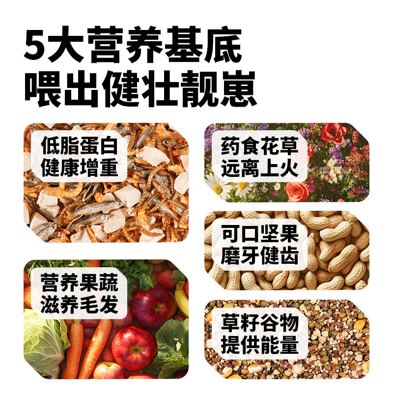 卡诺仓鼠粮食金丝熊营养主粮小仓鼠花枝饲料侏儒磨牙专用鼠粮用品,淘宝优惠券,粉丝福利购,淘宝优惠卷