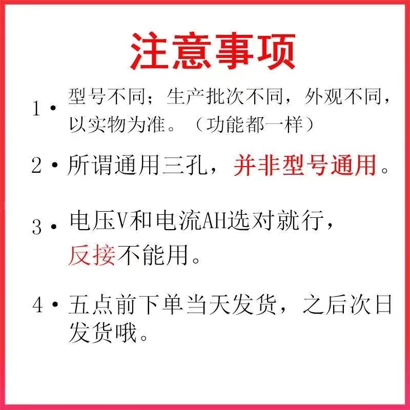 爱玛电动车原装锂电池充电器48V2A卡农头小麦头两竖头大电流专用 - 图2