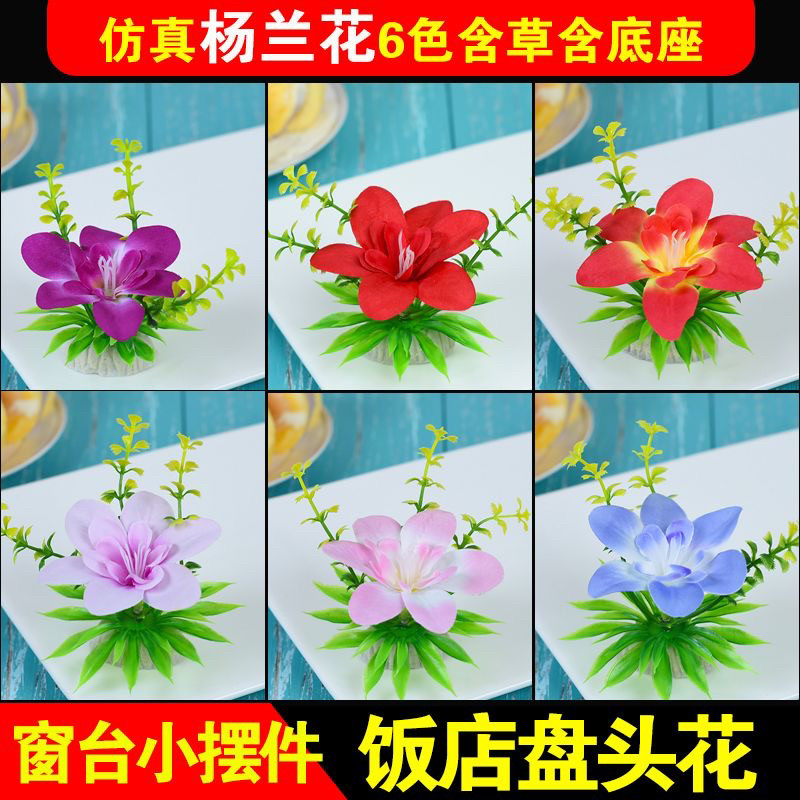 图5