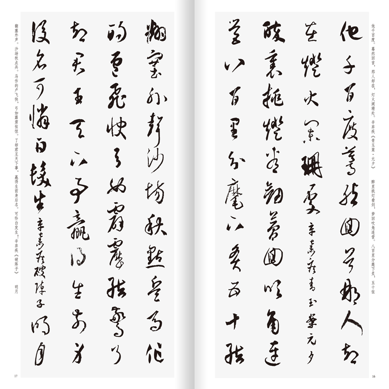 经典法帖草书集字宋词一百首收录经典草书碑帖集字古诗词作品集临摹教程孙过庭书谱怀素自叙帖等草书毛笔书法字帖书法集字正版-图2