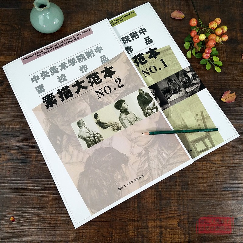 中央美术学院附中留校作品素描大范本1+2 静物临摹教材石膏人物头像肖像素描速写基础教程书人体写生教学 美术绘画类学生专业书籍 - 图1