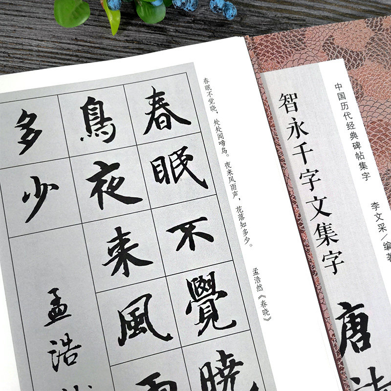 【旗舰正版】智永千字文集字合集 唐诗+宋词100首+春联对联120幅+古文名篇名言 毛笔书法临摹字帖 智永楷书千字文集字古诗词作品集,淘宝优惠券,粉丝福利购,淘宝优惠卷