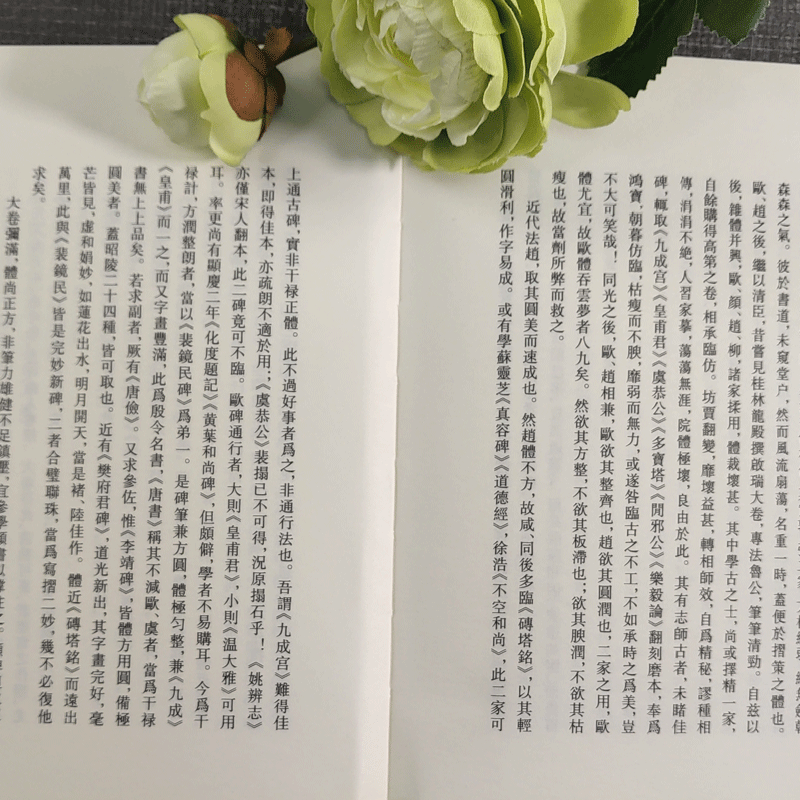 广艺舟双楫清代学者康有为谈书法的著作艺文丛刊第四辑之一种影响了整整一代书风文学书法绘画生活鉴赏掌故书籍浙江人美-图3