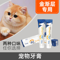 Golden Asymptolayer Kitty Special Toothpaste Toothbrush Pet Cat Mouth Smelly Tooth Cleaning Supplies Suit Toothbrushing God Cleaner