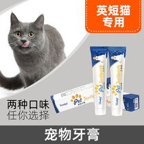 English Short Cat Kitty Special Toothpaste Toothbrush Pet Cat Mouth Smelly Tooth Cleaning Supplies Suit Toothbrushing God Cleaner