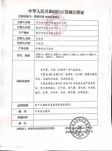 佳禾医用防褥疮气床垫单人褥疮充气垫床卧床老人瘫痪病人翻身护理 - 图2