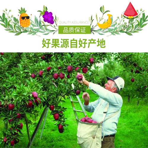 礼券788型臻选水果礼盒16种组合6325g提货券全国包邮团购礼品卡 - 图1