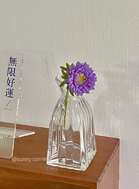 法式复古浮雕玻璃迷你小花瓶ins风透明水培插花花瓶桌面装饰摆件