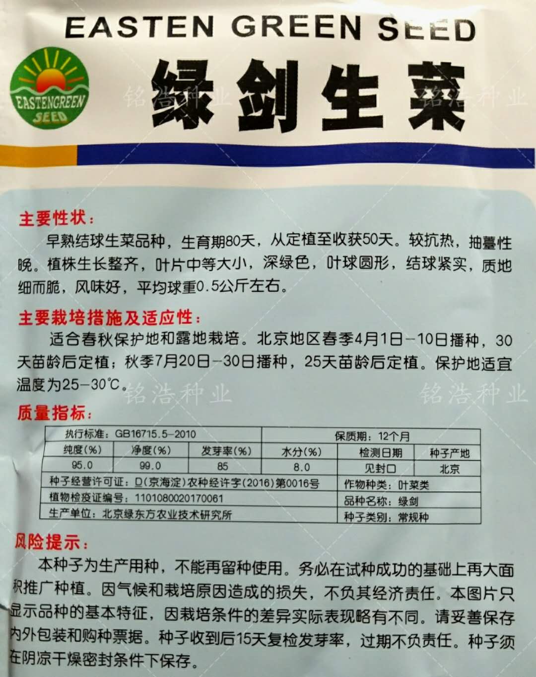 绿剑生菜种子结球生菜质优早熟抗热耐抽薹球圆紧实春秋播种蔬菜籽 - 图0