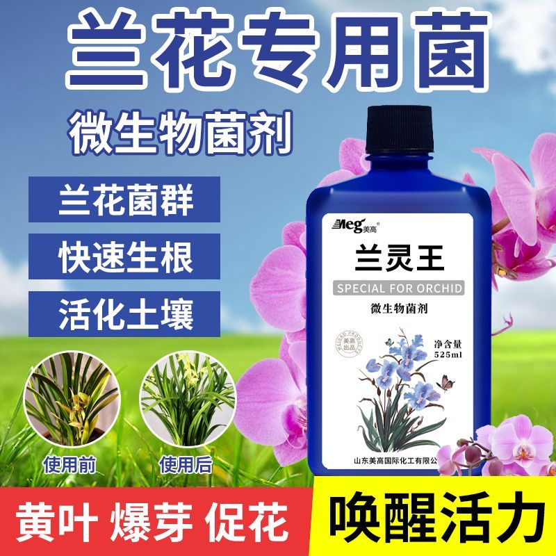 兰灵王兰花专用肥兰科君子兰蝴蝶兰墨兰营养液肥料EM菌微生物菌剂-图1