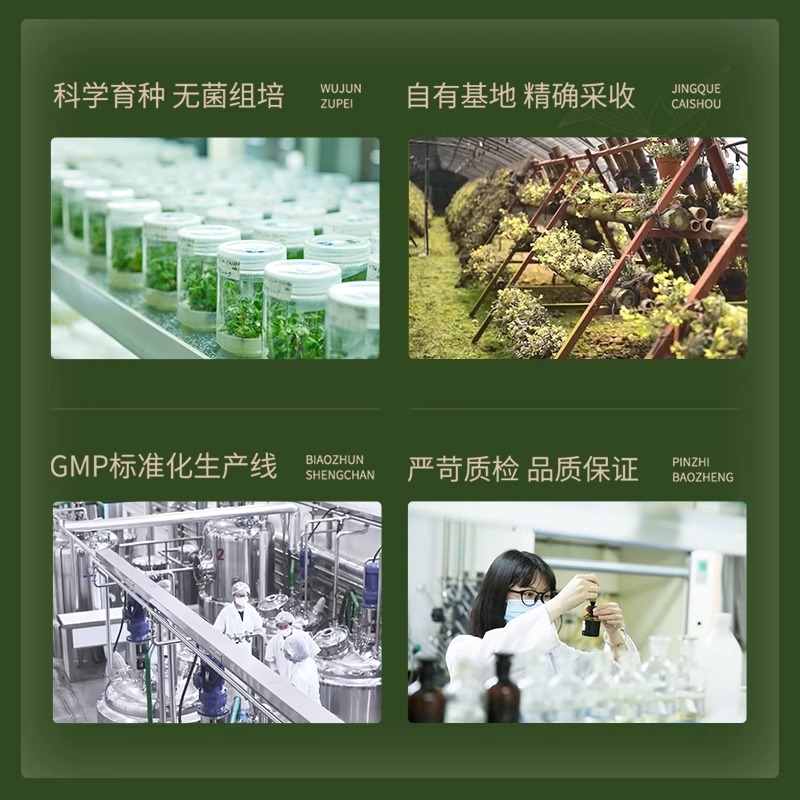 胡庆余堂铁皮枫斗晶3g*18包/盒正品礼盒装铁皮石斛冲剂佳节送礼